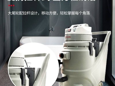 北京市 滴海商用高温蒸汽清洗机 清洁窗帘沙发地毯多功能布艺清洗机