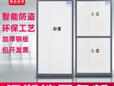 上海直销 电子保密柜  指纹密码柜文件柜 财务凭证档案柜 国保锁加厚铁皮柜 震名家具SH-BD9001-BMG831