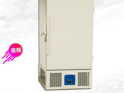 厂家直销 可定制超冷冻箱 实验室用数显试剂冷藏柜 低温环境试验箱